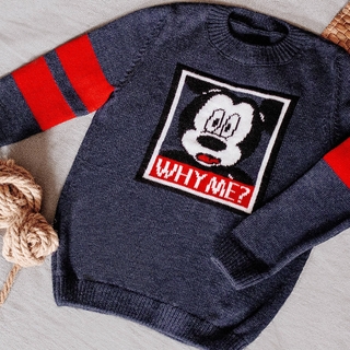 ESLI 18С-179СП джемпер для мальчика 