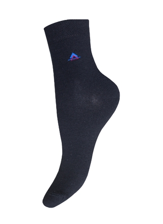 БРЕСТСКИЕ НОСКИ ДЕТСКИЕ 3081 SCHOOL (рисунок)