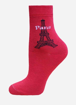 БРЕСТСКИЕ НОСКИ ДЕТСКИЕ 3081 SCHOOL (с рисунком)