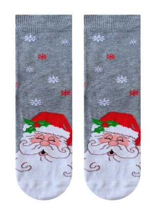 БРЕСТСКИЕ НОСКИ ДЕТСКИЕ 3079 SCHOOL (рисунок, НГ)