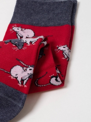 Брестские Носки 4200 PETS (средней длины)