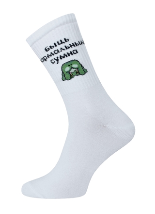 БРЕСТСКИЕ НОСКИ 4201 EVERY (удлиненные)