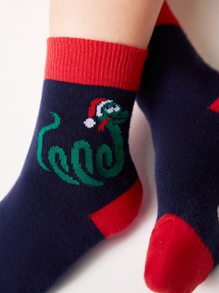 CONTE-KIDS NEW YEAR Носки детские