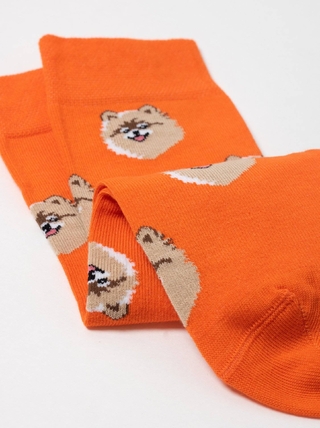 Брестские Носки 4200 PETS (средней длины)