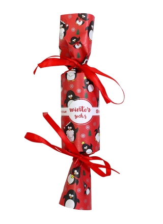 БРЕСТСКИЕ НОСКИ ДЕТСКИЕ 3079К SCHOOL (конфетоноски) 