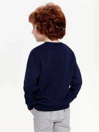 ESLI 20C-126СП Джемпер для мальчика 