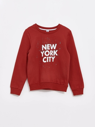 ESLI FB3180045 (MM) Джемпер для мальчиков