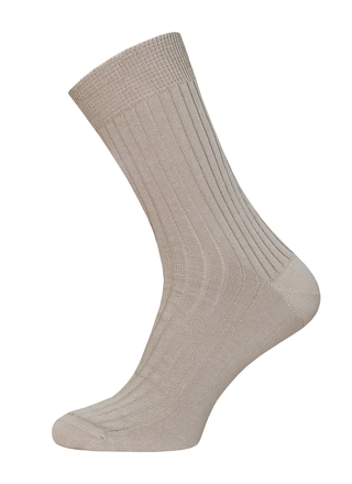 БРЕСТСКИЕ НОСКИ МУЖСКИЕ 2220 BASIC (хлопок 100%)