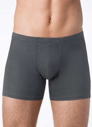 Брестские Трусы мужские ALFA BOXER 19С6304