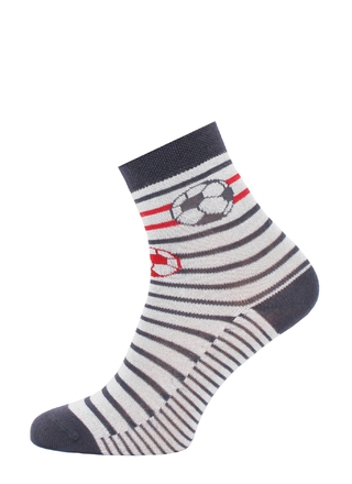 БРЕСТСКИЕ НОСКИ ДЕТСКИЕ 3081 SCHOOL (с рисунком)