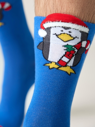 DIWARI NEW YEAR 21С-71СП Носки мужские