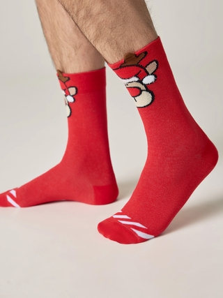 DIWARI NEW YEAR 19С-90СП Носки мужские