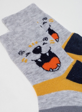 БРЕСТСКИЕ НОСКИ ДЕТСКИЕ 3081 KIDS (рисунок)