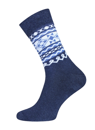 Брестские Носки мужские 2424 ARCTIC (махровые)