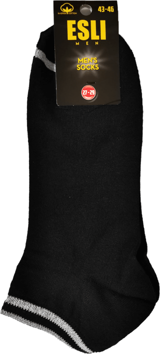 ESLI Носки мужские арт. 42s-202