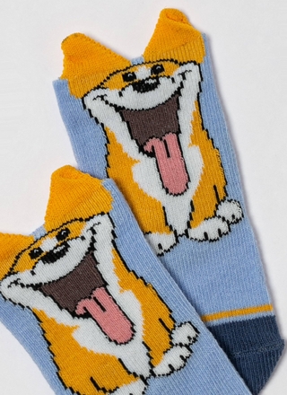 БРЕСТСКИЕ НОСКИ ДЕТСКИЕ 3086 KIDS (рисунок)