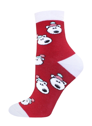 Брестские Arctic 1408