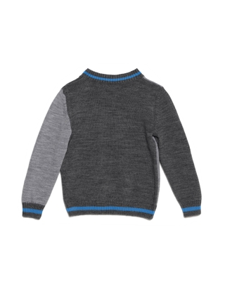 ESLI LEO джемпер для мальчика 