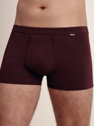 DIWARI PREMIUM MSH 1566 Хлопковые трусы-шорты мужские (в коробке)