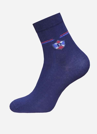БРЕСТСКИЕ НОСКИ ДЕТСКИЕ 3081 SCHOOL (с рисунком)