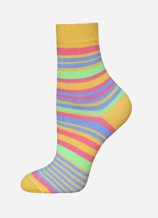 БРЕСТСКИЕ НОСКИ ДЕТСКИЕ 3081 SCHOOL (с рисунком)