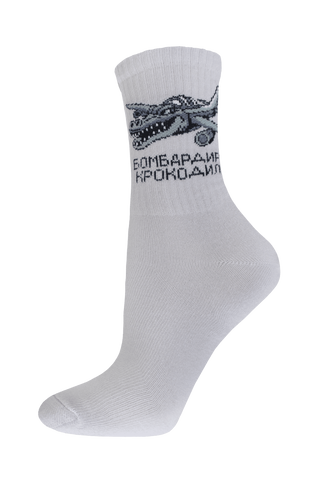 БРЕСТСКИЕ НОСКИ ДЕТСКИЕ 3076 SCHOOL (рисунок)