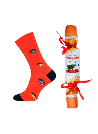 Брестские Носки 4200К SOXY (упакованы в виде конфеты)