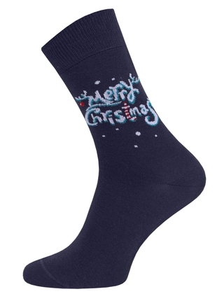 БРЕСТСКИЕ НОСКИ МУЖСКИЕ 2146 CLASSIC (средней длины, НГ)