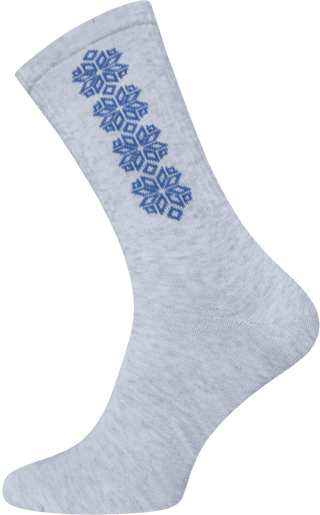 БРЕСТСКИЕ НОСКИ 4201 EVERY (удлиненные)