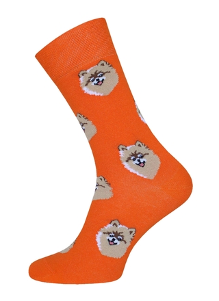 Брестские Носки 4200 PETS (средней длины)