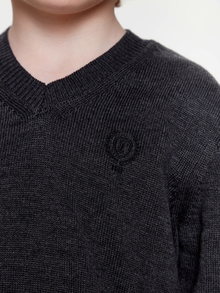 ESLI 20C-126СП Джемпер для мальчика 