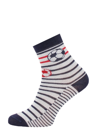 БРЕСТСКИЕ НОСКИ ДЕТСКИЕ 3081 SCHOOL (с рисунком)