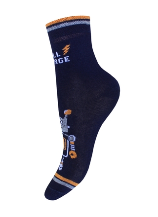 БРЕСТСКИЕ НОСКИ ДЕТСКИЕ 3081 SCHOOL (рисунок)