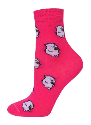 БРЕСТСКИЕ НОСКИ ДЕТСКИЕ 3081 SCHOOL (рисунок)