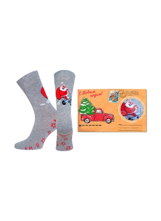 БРЕСТСКИЕ НОСКИ МУЖСКИЕ 2146Е CLASSIC (упакованы в конверт) 