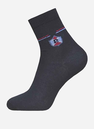 БРЕСТСКИЕ НОСКИ ДЕТСКИЕ 3081 SCHOOL (с рисунком)