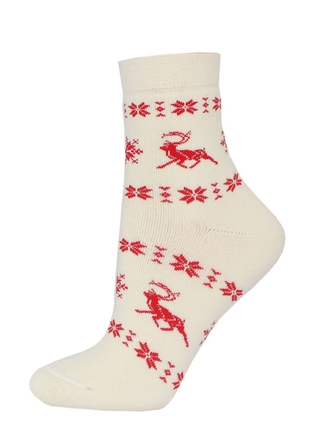 Брестские Arctic 1408