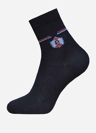 БРЕСТСКИЕ НОСКИ ДЕТСКИЕ 3081 SCHOOL (с рисунком)