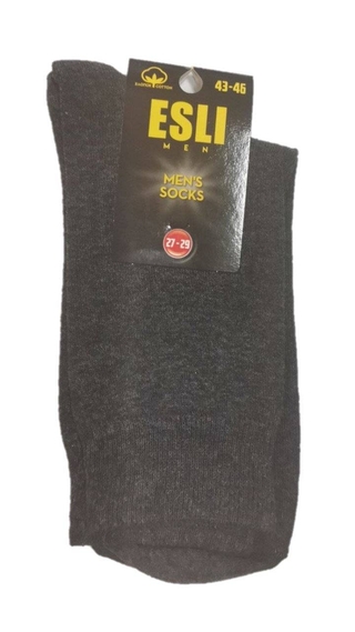 ESLI Носки мужские 42s-200