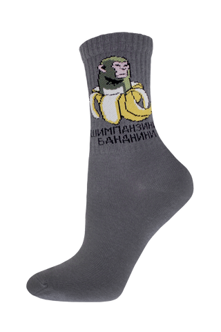 БРЕСТСКИЕ НОСКИ ДЕТСКИЕ 3076 SCHOOL (рисунок)