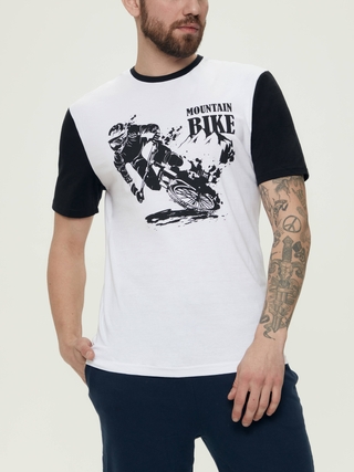 ESLI Джемпер мужской CTM2190092