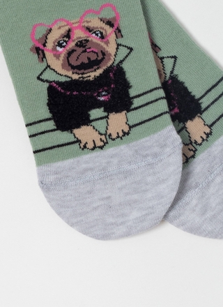 Брестские Носки женские 1133 CLASSIC (с пушистым рисунком)