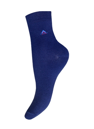 БРЕСТСКИЕ НОСКИ ДЕТСКИЕ 3081 SCHOOL (рисунок)