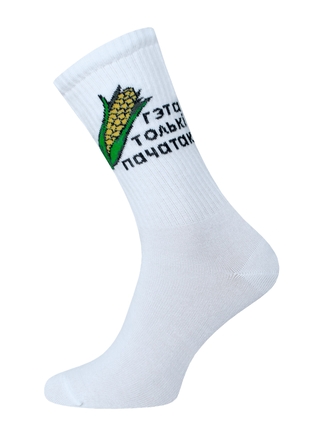 БРЕСТСКИЕ НОСКИ 4201 EVERY (удлиненные)