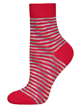 Брестские Носки детские 3081 SCHOOL (с рисунком)