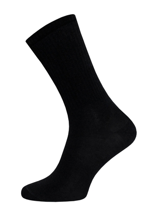 БРЕСТСКИЕ НОСКИ 4201 EVERY (удлиненные)