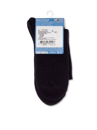 Брестские Arctic 1408