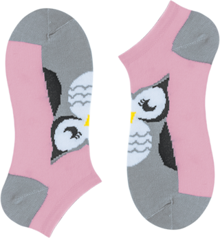 CHOBOT 52-86 Носки женские