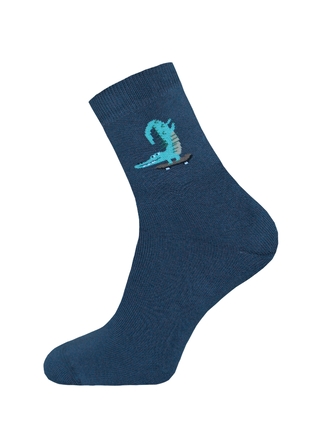 БРЕСТСКИЕ НОСКИ ДЕТСКИЕ 3060 SCHOOL (рисунок)