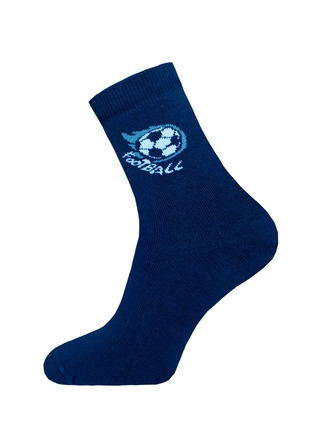 БРЕСТСКИЕ НОСКИ ДЕТСКИЕ 3060 SCHOOL (рисунок)